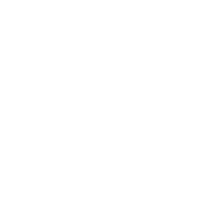 The Disciple's Path